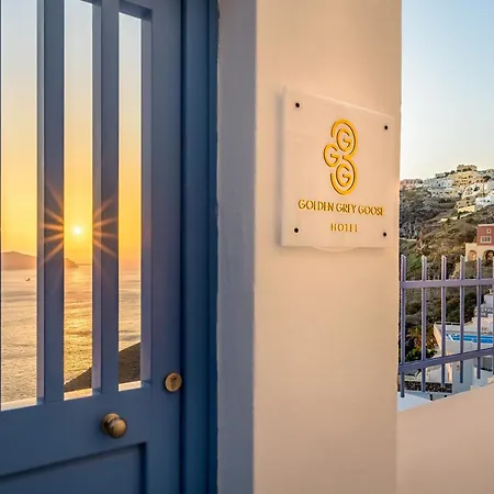 Golden Grey Goose * Fira (Santorini)