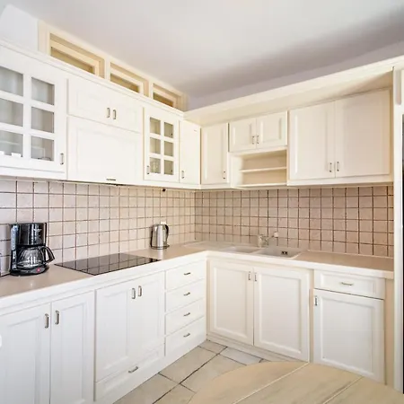 Golden Grey Goose Apartment